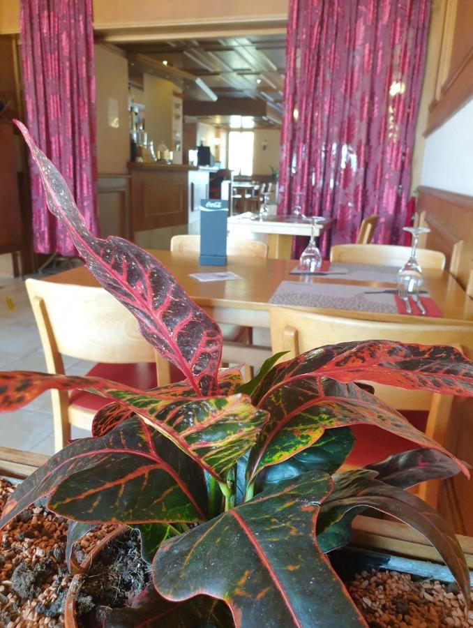 Hotel Lion D'Or Romont ภายนอก รูปภาพ